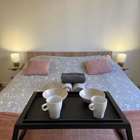 Apartment Elegant - Proche Metro Et Gare